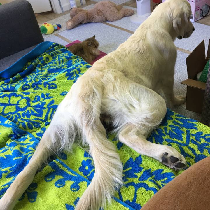 5dcaf457 febf 4adf b328 50916345cbde