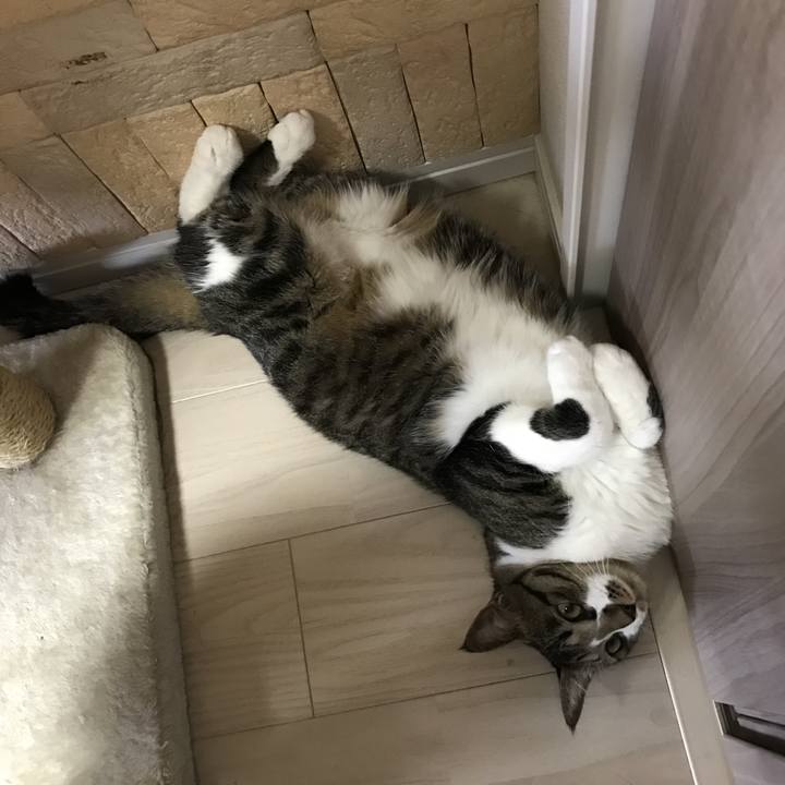 5dcb0a71 1abf 4e3d a0fc 1c79355590ff