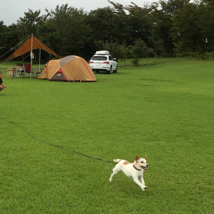 5dcb1cfb d763 485c a52f f0f52e637429