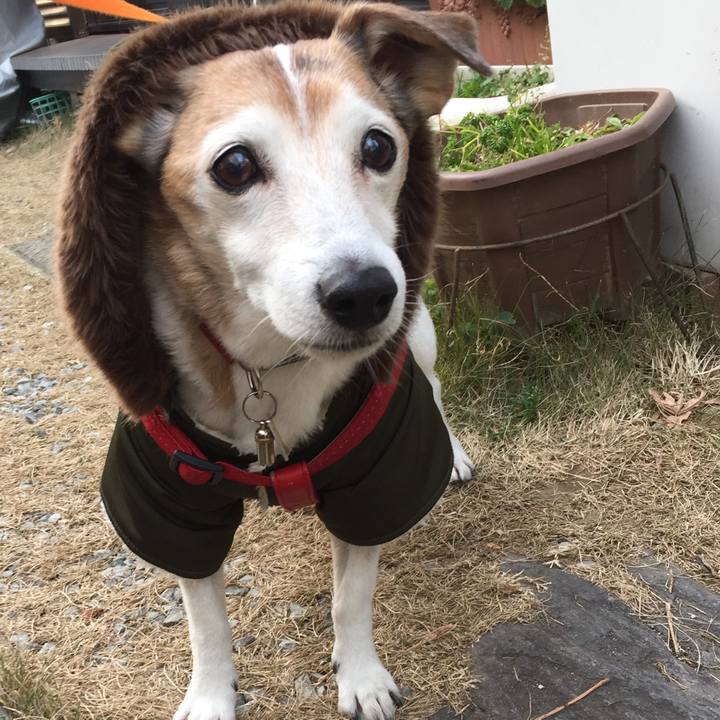 5dcb3d2b cbd7 4fe5 807d cd6b4dbaea6c