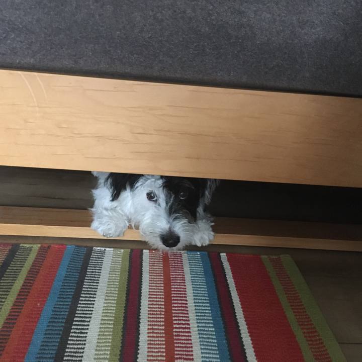 5dcb9454 458f 4bbd 9378 eb9da0d40ba3