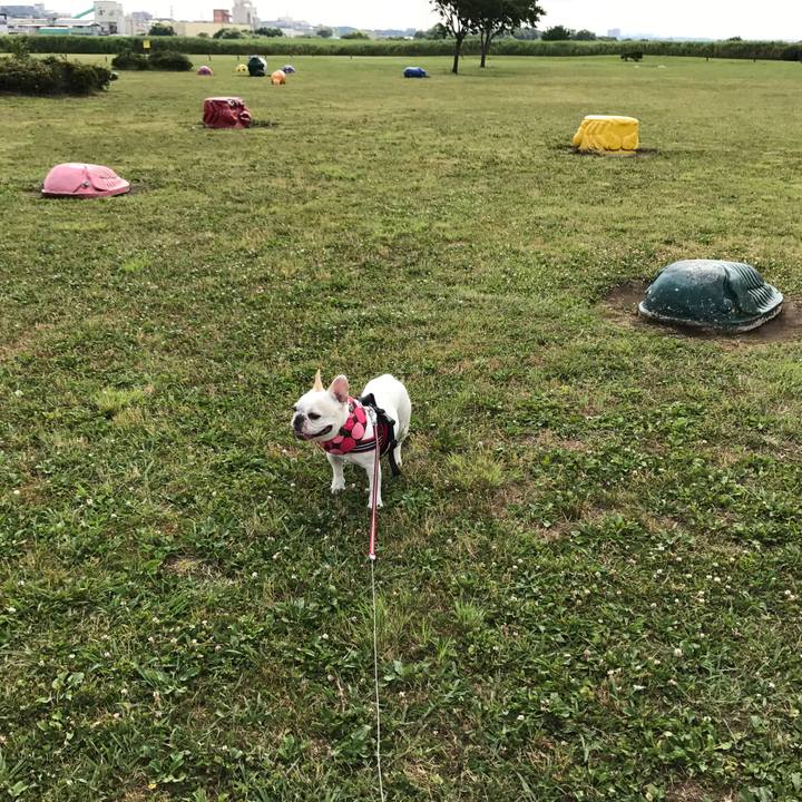 5dcb9ff5 a14b 4af1 b2be c31759d45977