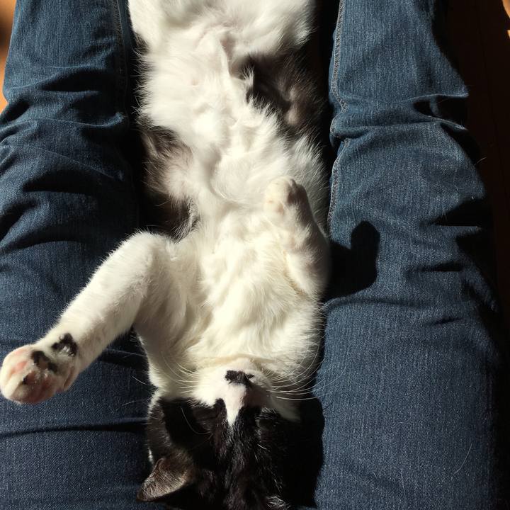 5dcce136 cf2f 426e 8a7c 5628ca0e783c