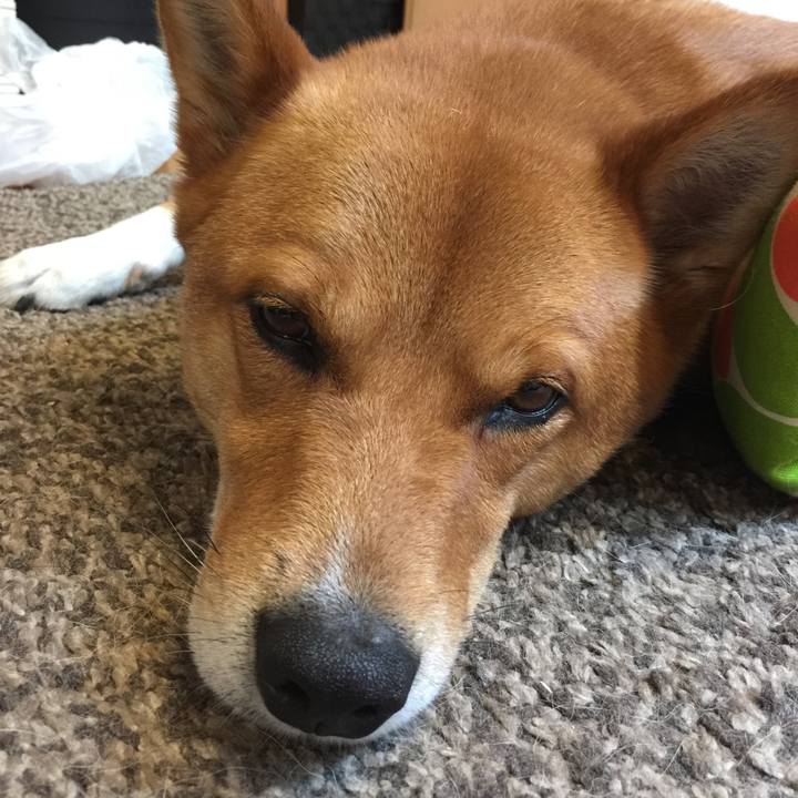 5dce014e b9dd 4ffe 8c34 f475a58cd541