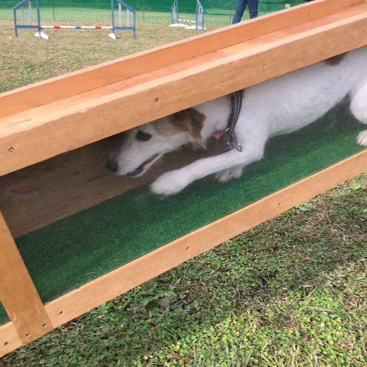 5dce3706 a0eb 4b6f 977f 8167c3fed0cb