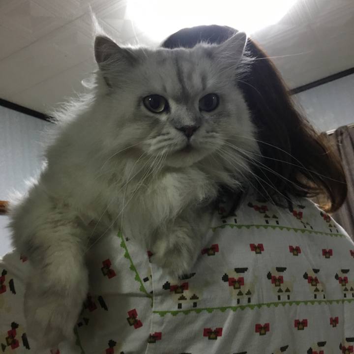 5dcf0f82 67a0 46d8 9e32 ff798520bee3