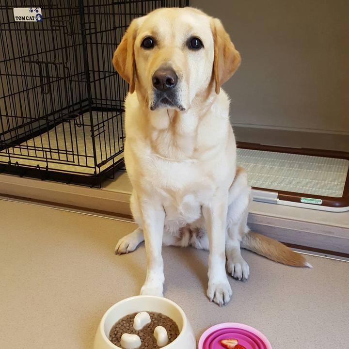 5dcf9a28 20ee 4ade b44b c2f9518e3956