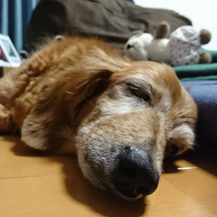 5dcff2d9 c859 452d 8e3d 6d27d0d5175c