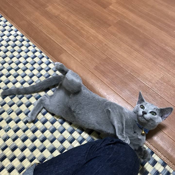 5dd018d6 ef75 4eb9 b8a8 7aee734c756d