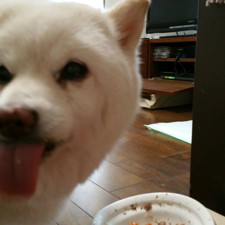 5dd09bde 0840 4624 ae82 e4900d2ace7f