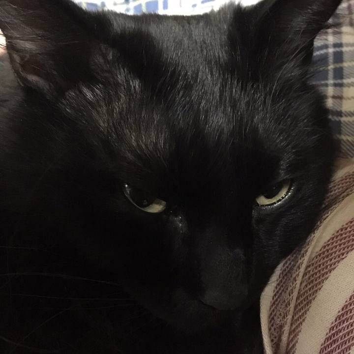 5dd0f5a1 8bfb 470f a6f4 fdff247d1490