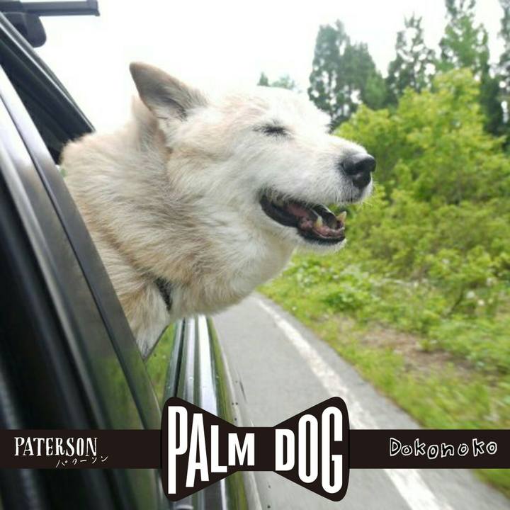 5dd10dab c434 4dcc af3c eae471e8b648