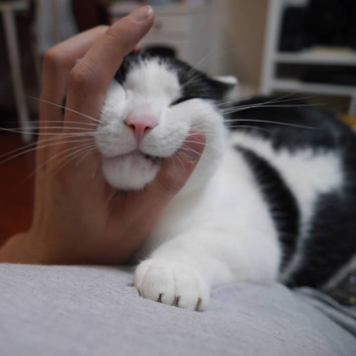 5dd13163 e2a9 4037 a55b efd1fffb047a