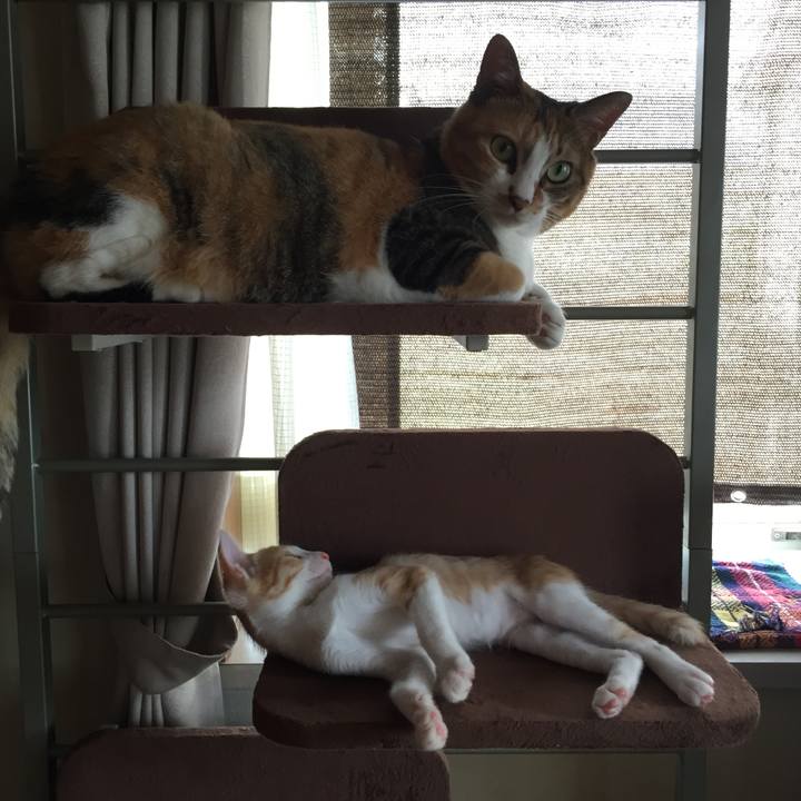 5dd13470 da2a 4403 aeed 3a55feb2ba70