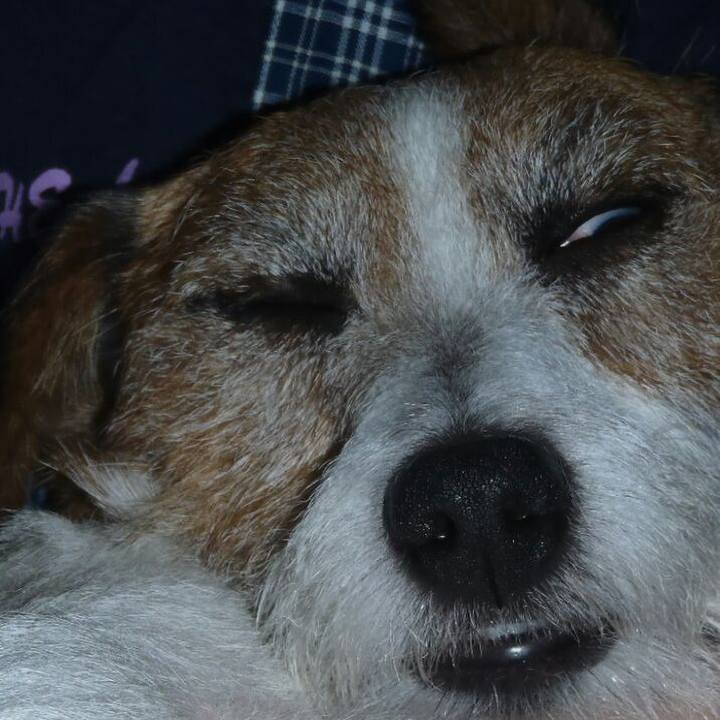 5dd165b6 7b3e 47ae 8f4e db1f5de93b32