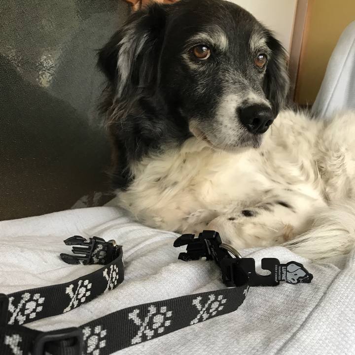 5dd1eea5 8ded 4f8e 86fe adb9aa55809d