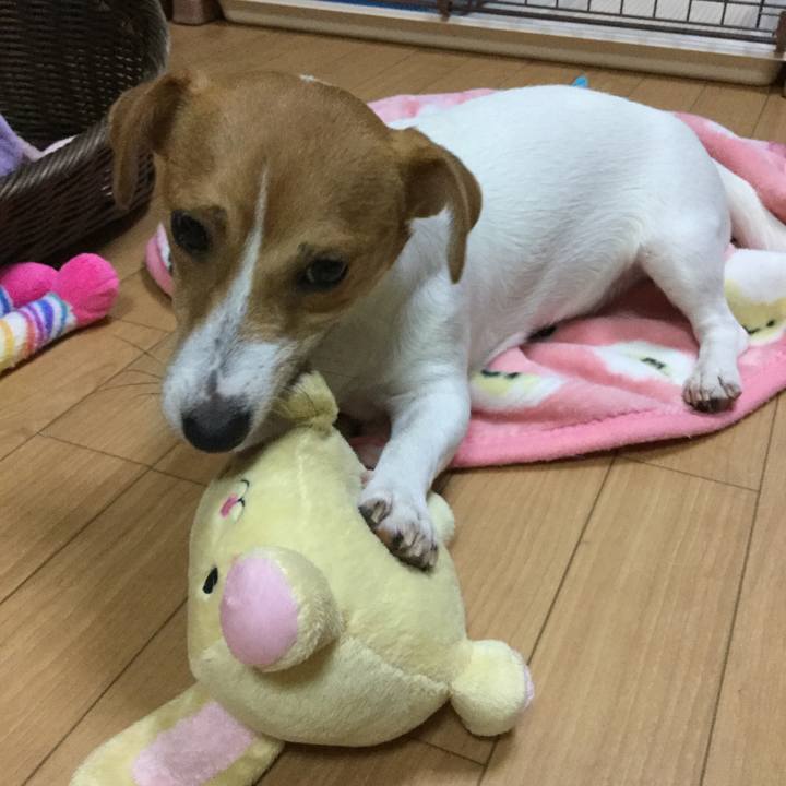 5dd20e22 6d77 455a 9937 3c9c5c3ee46d