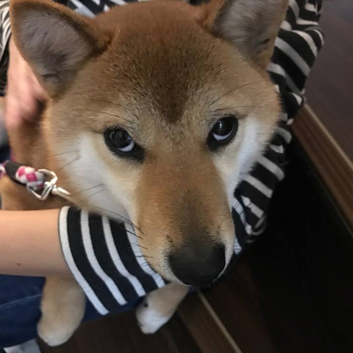 5dd25619 db60 4047 9b52 96088fd1cc91