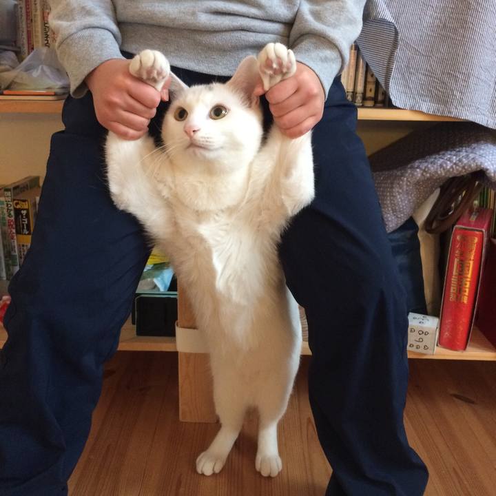 5dd2668d 354a 448e 8ca8 a716affabace