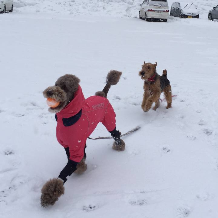 5dd29e3d f6b3 4d50 be51 35a205b53a91