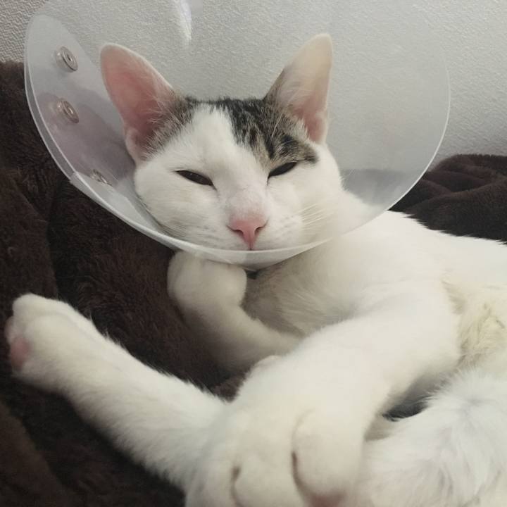 5dd2e80f defc 455a b973 7f0c5c616995