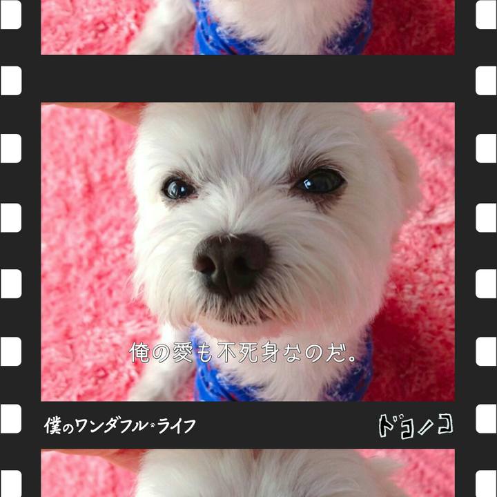 5dd31d28 48e6 446b be2d d79500ebd2e1