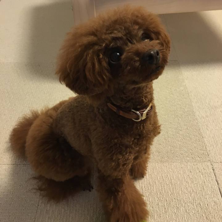 5dd3ac04 a0b1 43ff 8171 aeb1b4555a90