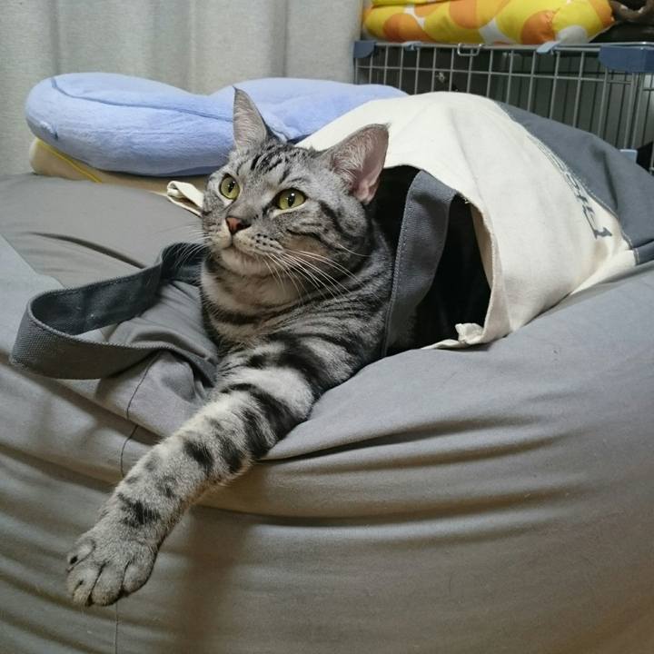 5dd3d576 05a4 40c8 9790 101498c3b280