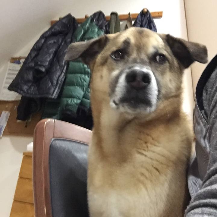 5dd4138c cbbf 42d2 b544 8f67fe7c6e38