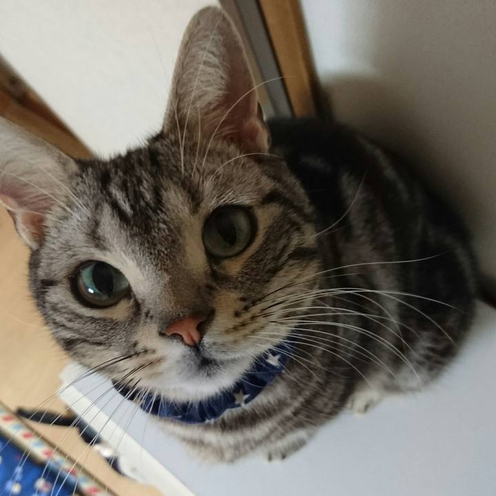 5dd46c7c 735e 49f0 88c8 a887335cc0e7