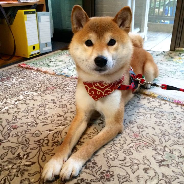 5dd46dd7 a52f 4e0d 8878 69c7b88d185f