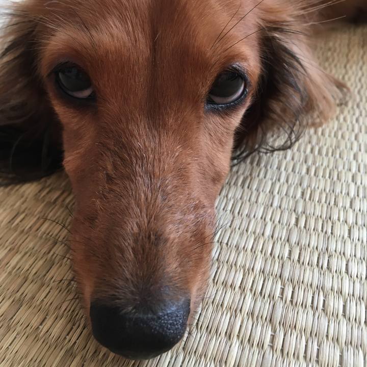 5dd4e130 913f 415a b874 6a6ab0a5a7f0