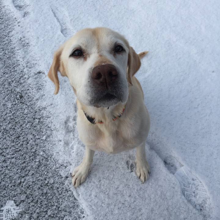 5dd5e23c bb52 48eb a937 476cba237250