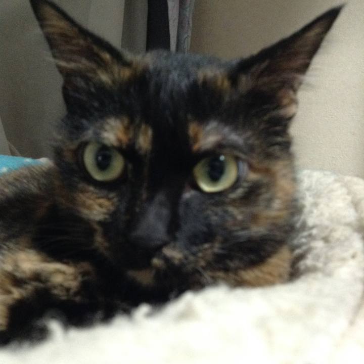 5dd5eab8 bd63 4b33 8b75 c8912e15886f