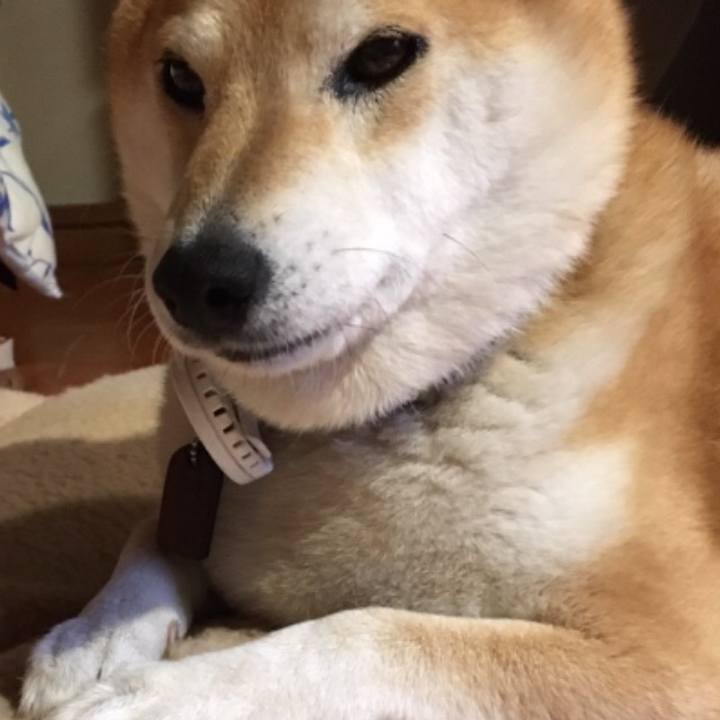 5dd61c9d 382b 4cab 9ebb 556a6aea8437