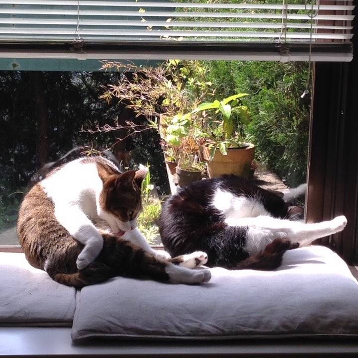 5dd67b79 a257 40e9 a92f 0ed4eb1c3d96