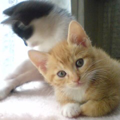 5dd7c4da 7360 416d bedd 15c26535a2cc