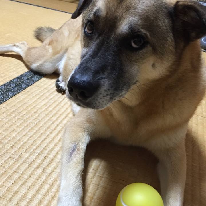 5dd81204 058c 4e8f 9fc1 161beb2fedc0