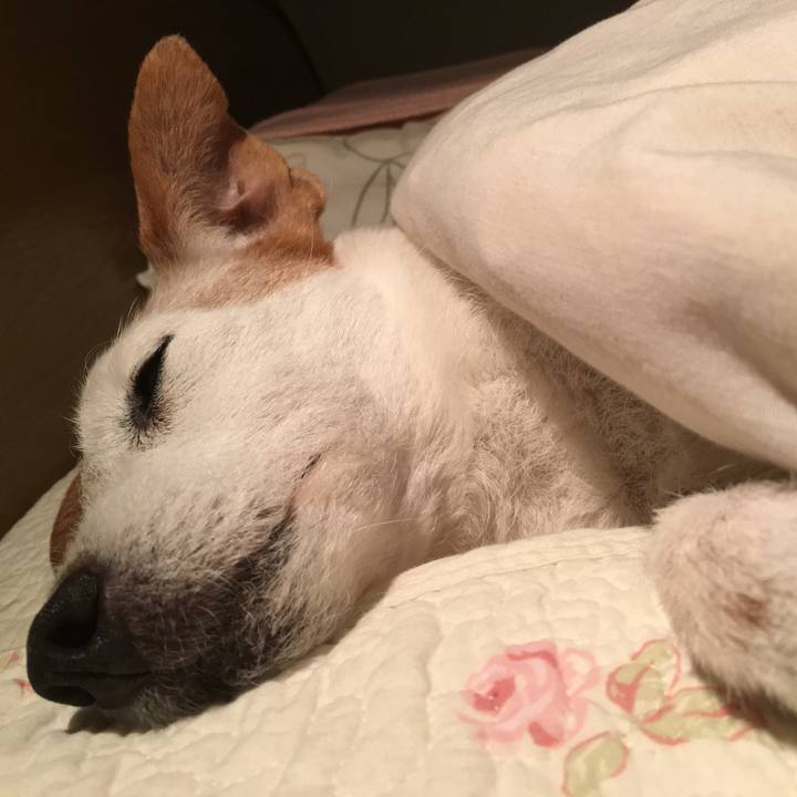 5dd9172a 2294 4973 b079 f318a514ee43