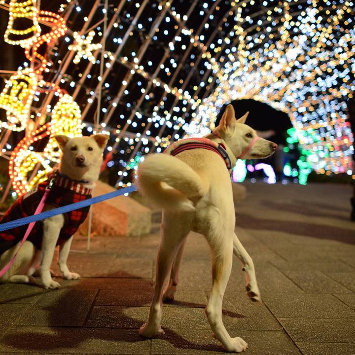 5dd96314 8c0b 4712 b5ee ca66e8827cd5