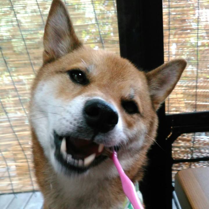 5dda27c7 d0a0 408c 9c58 c834e2093004