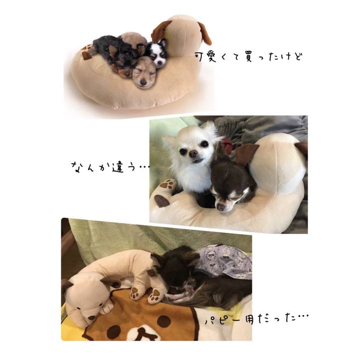 5dda5a05 13d8 49a6 b47c 24a4fd9cbafc