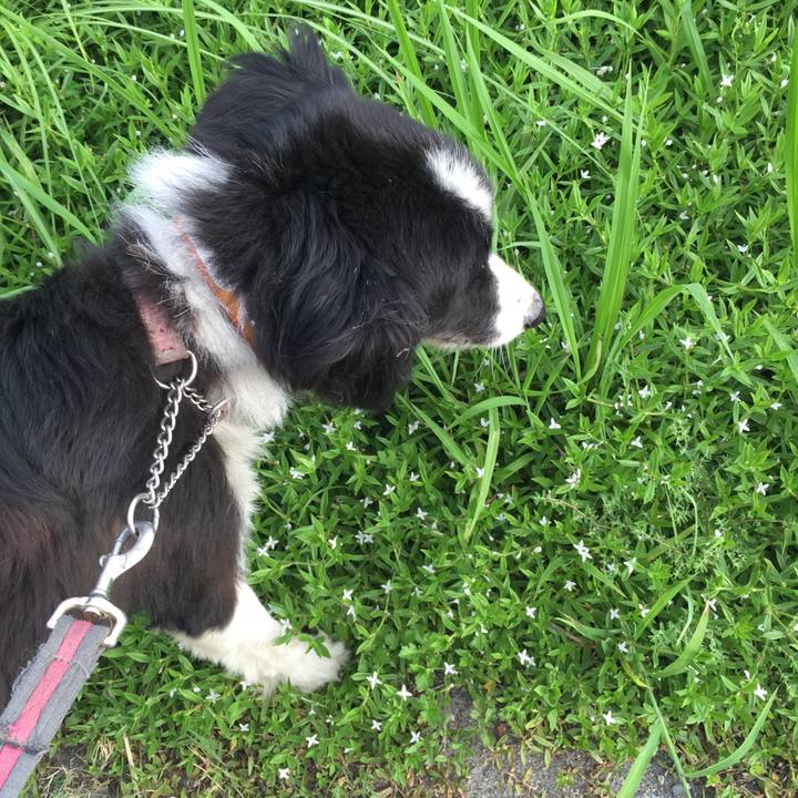 5dda9356 bcad 413b 9998 c576cb8b92b6