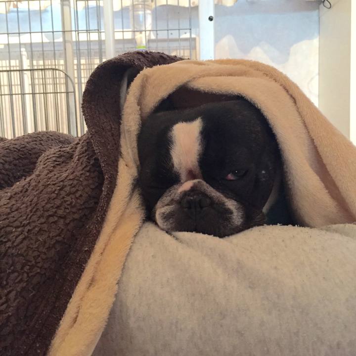 5ddb2e90 cd85 4bcc 9b7e e11304fbb619