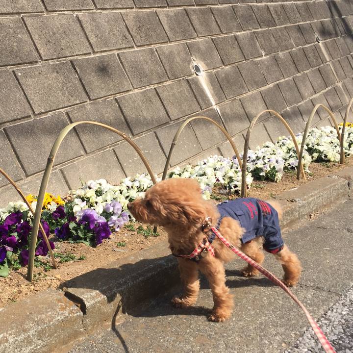 5ddc82f4 c4e8 4f71 9455 ada90cf339cb