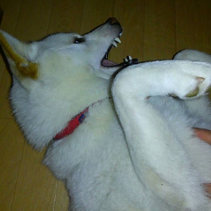 5ddcad9f d7e7 4e7c 9362 5a8a29a849b9