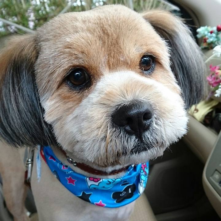 5ddcae62 870b 47b4 abfd c5ab622a867a