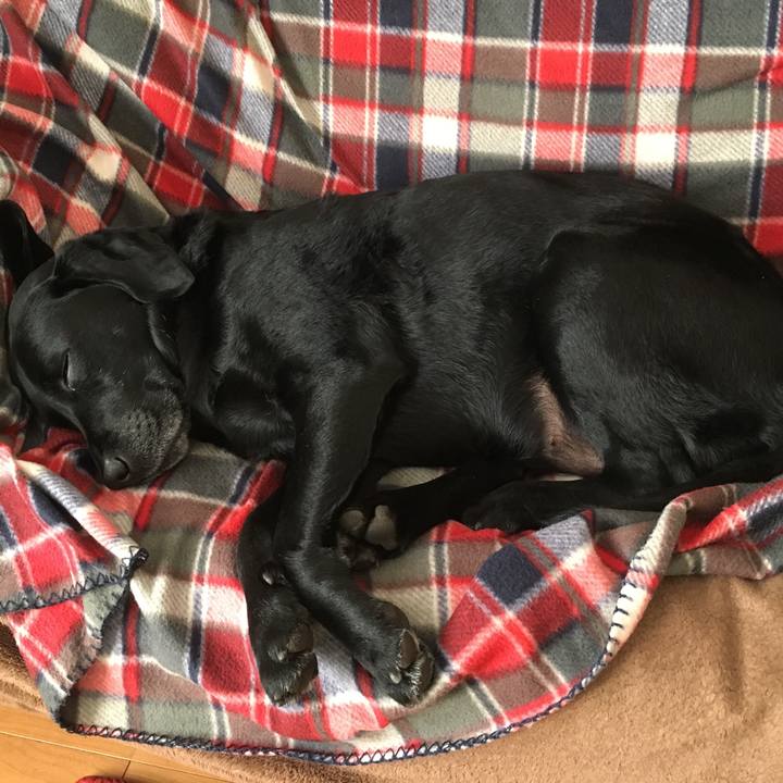 5ddcd83e d1fa 4074 b7cd 580f508e7ba6