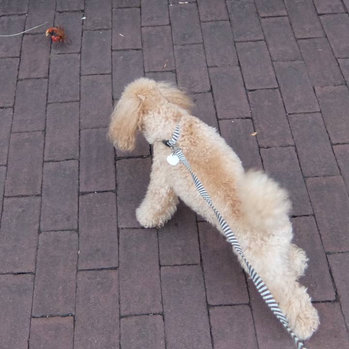 5ddd0e99 4761 4eb3 bc92 12a73f297d7c