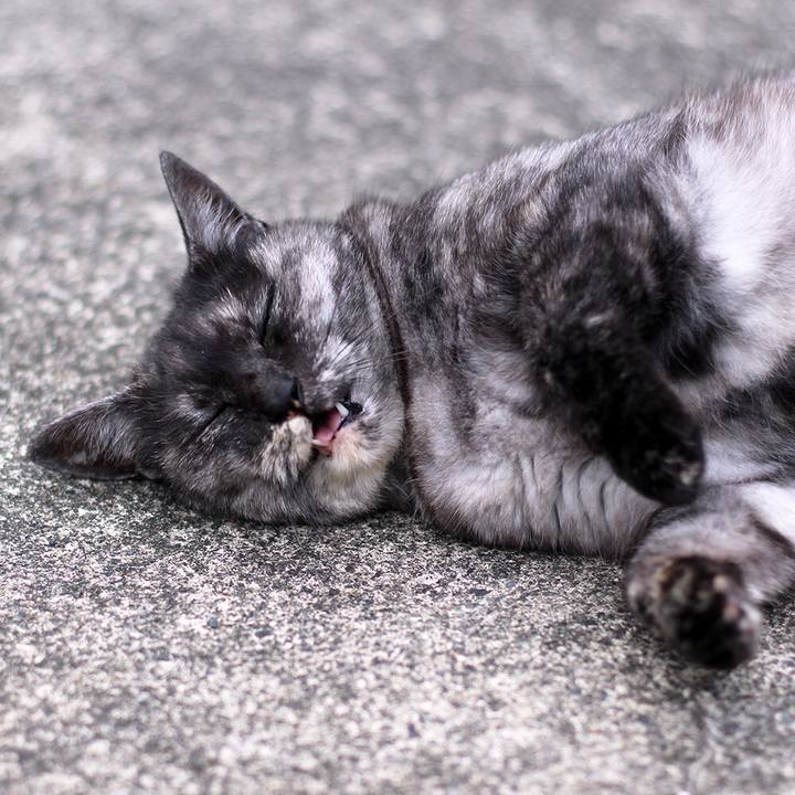 5dddad2e 43c9 4f3d bd75 581281ca7416